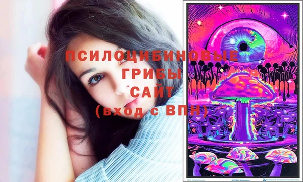 гидропоника Пересвет