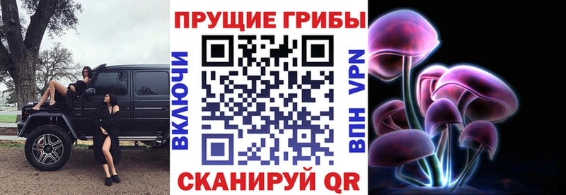 Галлюциногенные грибы GOLDEN TEACHER  хочу   Алейск 
